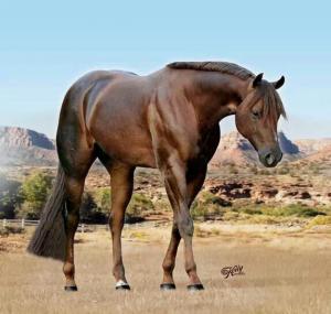 Haflinger Pferde Für Facebook 300x285 - Pferde Ausdruck Bilder Für Facebook