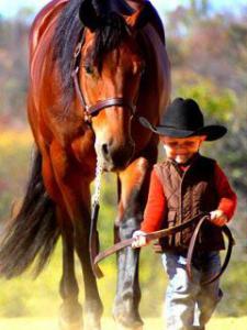 Iberische Pferde Kostenlos Herunterladen 225x300 - Pferde Online Kaufen Für Facebook