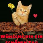 Ich W%C3%BCnsche Dir Einen Sch%C3%B6nen Tag Bilder 150x150 - Wünsche Ihnen Einen Schönen Tag
