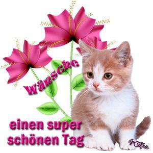 Wünsche Ein Schönen Tag Bilder und Sprüche
