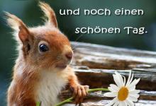 Bild von Jemanden Einen Schönen Tag Wünschen bilder fürs handy