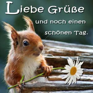 Jemanden Einen Schönen Tag Wünschen Bilder und Sprüche