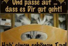 Bild von Lustige Guten Tag Sprüche bilder fürs handy