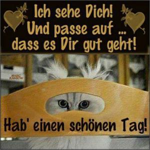 Ich Wünsche Dir Einen Guten Tag Bilder und Sprüche