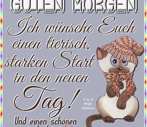 Lustige Schönen Tag Sprüche bilder fürs handy Bilder und Sprüche
