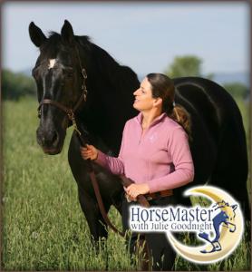 Pferde Kaufen Billig Kostenlos Herunterladen 278x300 - Pferde Online Kaufen Kostenlos Herunterladen
