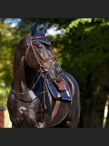 Pferde Kaufen Ungarn Für Facebook 225x300 - Pferdeaugen Bilder Für Whatsapp
