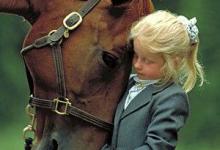 Bild von Pferde Und Reiten Kostenlos Herunterladen bilder fürs handy