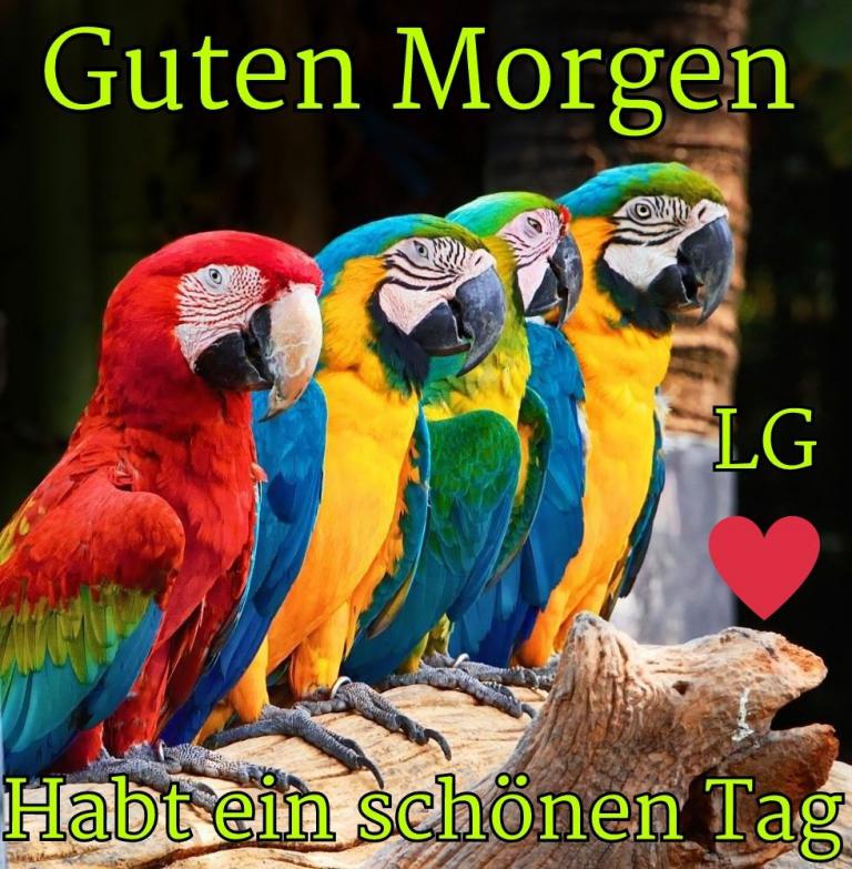 Schönen Tag Bilder Kostenlos
