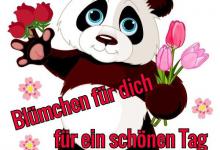 Bild von Schönen Tag Noch bilder fürs handy