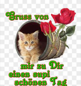 Schönen Tag Sprüche Facebook Bilder und Sprüche