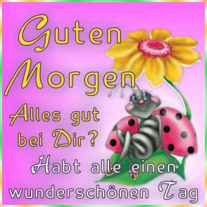Schönen Tag Sprüche Facebook Bilder und Sprüche