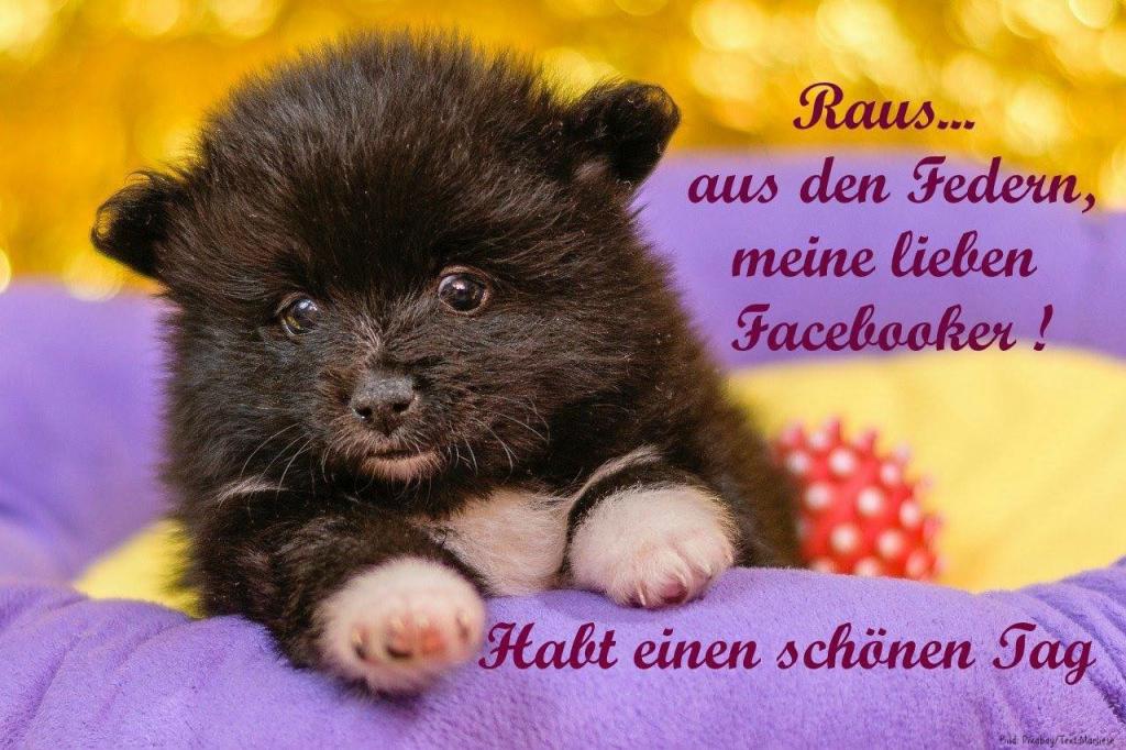 Schönen Guten Tag Bilder Bilder und Sprüche