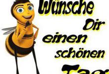 Bild von Schönen Tag Whatsapp bilder fürs handy