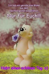 Wünsche Für Einen Schönen Tag bilder fürs handy