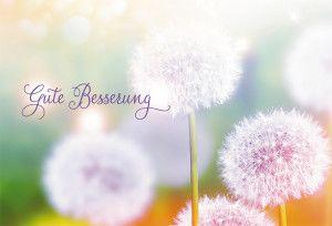 Wünsche Für Gute Besserung bilder fürs handy