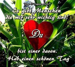 Wünsche Schönen Tag Sprüche bilder fürs handy