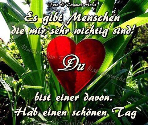 Wünsche Schönen Tag Sprüche Bilder und Sprüche