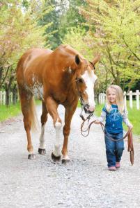 Zahnräder Bilder fürs handy