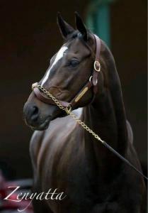 Zeitung Bild Für Whatsapp bilder fürs handy