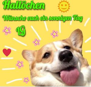 Zitate Für Einen Schönen Tag bilder fürs handy