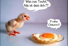 Bild von Frohe ostern lustige bilder fürs handy
