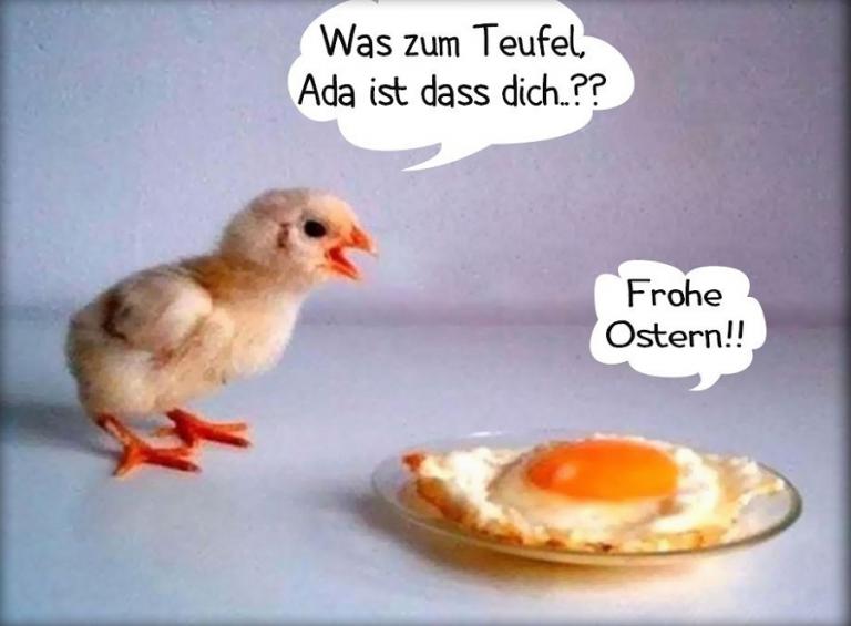 frohe ostern lustige bilder