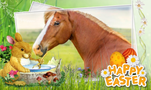 frohe ostern pferd 300x180 - Oster Grußkarten Kostenlos
