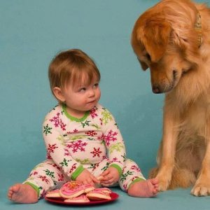 Bilder Schäferhund Für Facebook 300x300 - Großer Hund Mit Schlappohren