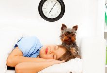 Bild von Bilder Von Hundebabys Kostenlos bilder fürs handy