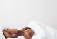 Bild von Bilder Von Hundewelpen bilder fürs handy