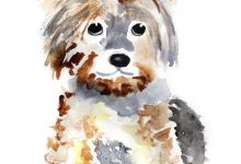 Bild von Der Hund Bilder Für Facebook bilder fürs handy