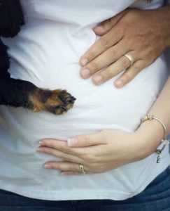 Der Hund Bilder Für Whatsapp