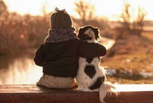 Französische Hunderassen Bilder Für Facebook 300x203 - Schöne Bilder Von Hunden