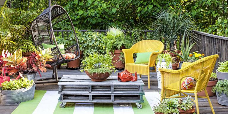 Gartenideen von Mein schöner Garten