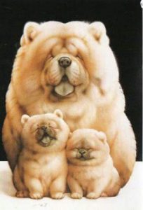Große Langhaarige Hunderassen 204x300 - Lustige Hunde Bilder Mit Sprüchen