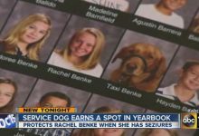 Bild von Hunde Bilder Ausdrucken Kostenlos Herunterladen bilder fürs handy