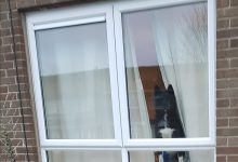 Bild von Hundeköpfe Bilder fürs handy