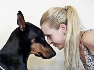 Hunderassen Mit Kurzhaar 300x226 - Süße Hundebaby Bilder Kostenlos Herunterladen
