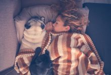 Bild von Kleiner Weisser Hund bilder fürs handy
