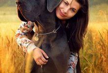 Bild von Langhaariger Hund bilder fürs handy