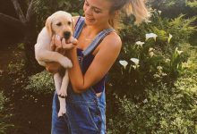 Bild von Lustige Bilder Hundebabys Kostenlos bilder fürs handy