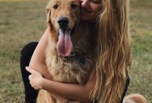 Bild von Schöne Bilder Von Hunden bilder fürs handy