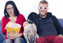 Bild von Schöne Hundebilder fürs handy