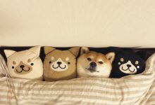 Bild von Weihnachtsbilder Hunde Kostenlos bilder fürs handy
