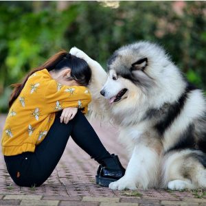 Zeig Mir Bilder Von Hundebabys Für Facebook bilder fürs handy