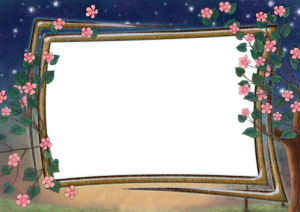 Rahmen für Foto Nacht Blumen Liebesrahmen bilder fürs handy