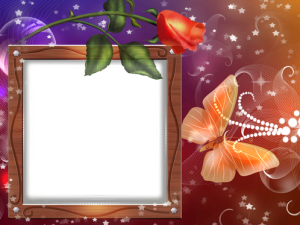 schöne Liebe Fotorahmen bilder fürs handy