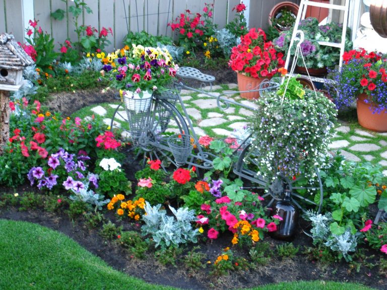 Mein schoner Garten