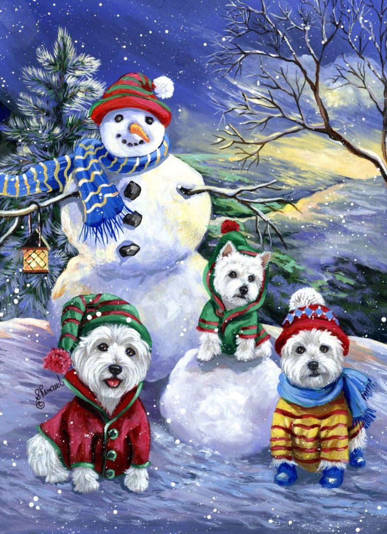 Bilder Weihnachten Neujahr Kostenlos Fur Whatsapp Und Facebook Furs Handy